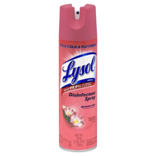 [019200793285] Lysol Disinfectant S