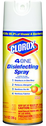 CLOROX DISINFECTING SPRAY 14oz